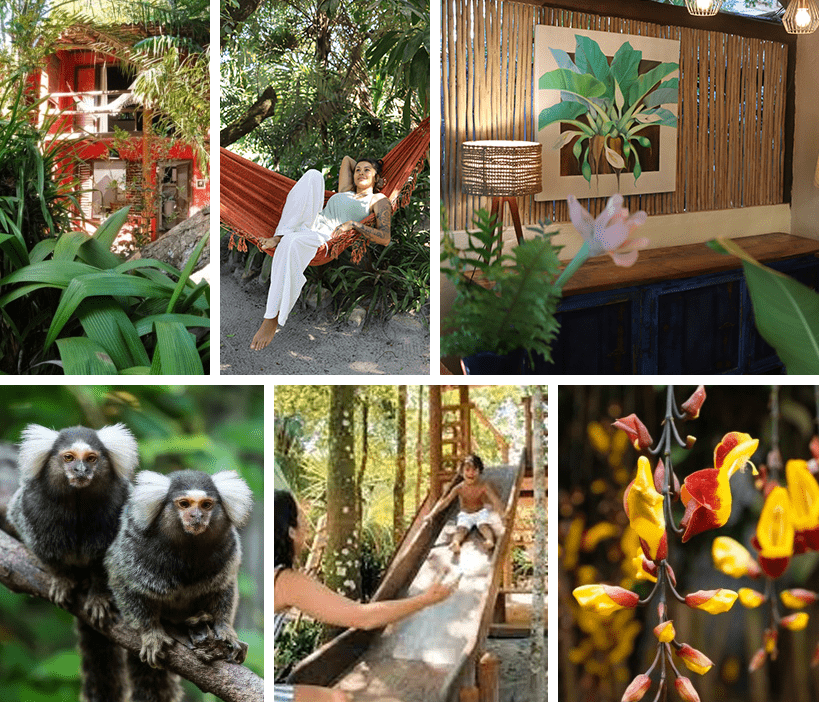 Natureza em Área Externa Mata N’ativa Pousada - Trancoso Natureza em Área Externa Mata N’ativa Pousada - Trancoso